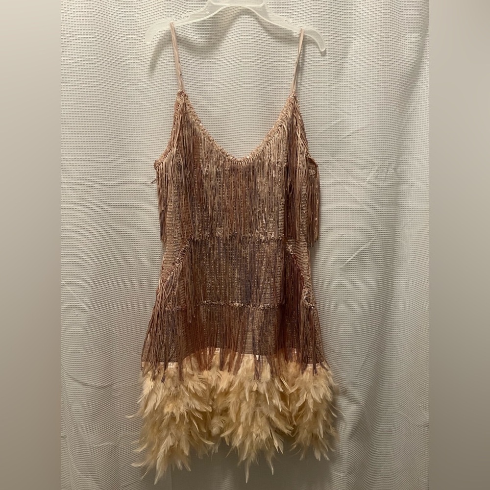 Taylor Swift Inspired Dress - Sequins, Feathers, Rose-gold Dress